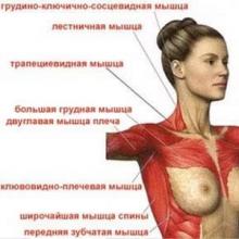 Упражнения для грудных мышц для женщин в домашних условиях Упражнение для грудных мышц в домашних условиях для женщин
